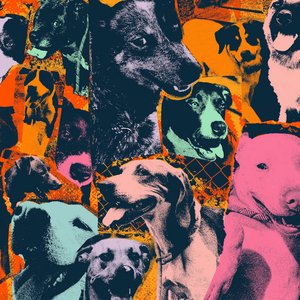 The Dogs of Hope [Explicit]