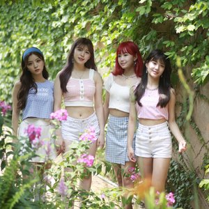 플로리아 的头像