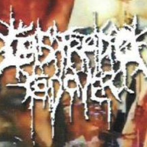 Castrado Cadaver 的头像