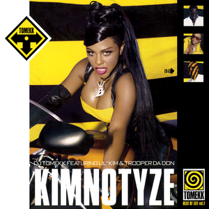 DJ Tomekk - 2002 Top Hits 100 - Zortam Music