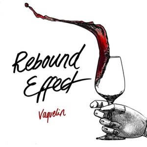 Rebound Effect