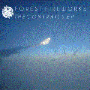 Avatar for Forest Fireworks