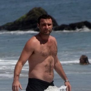 “Liev Schreiber”的封面