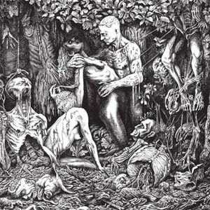 Paal Nilssen-Love, Lasse Marhaug & Massimo Pupillo 的头像