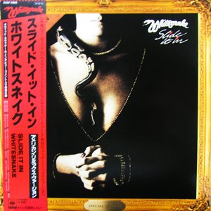 Slide It In (American Remix Version)