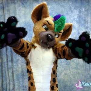 Nos Hyena 的头像