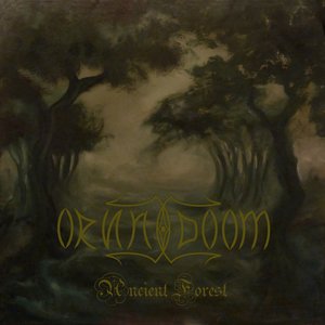 Ancient Forest