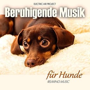 Аватар для Beruhigende Musik für Hunde