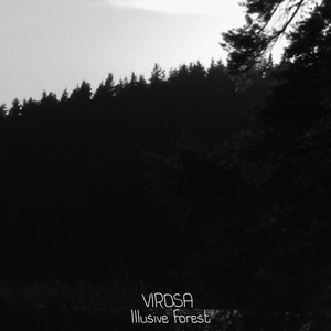 Illusive forest