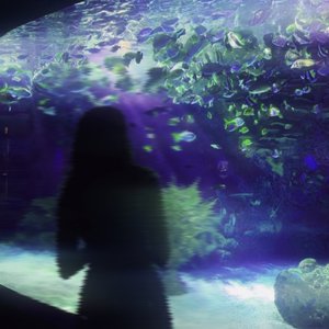 Am I Missing You? - Single