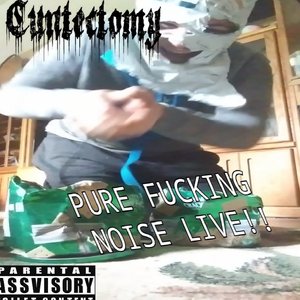 Pure Fucking Noise Live!!