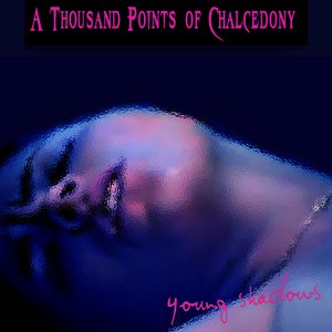 “Young Shadows”的封面