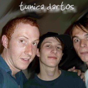 Image for 'Tunica Dartos'