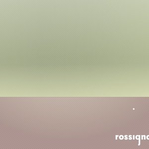 ROSSIGNOLS 的头像