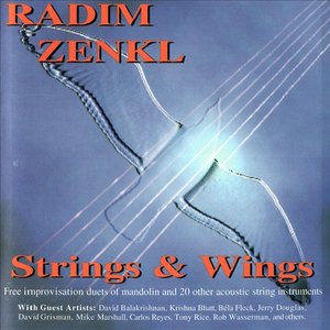 Strings & Wings