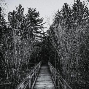 Avatar for lslhlalnl