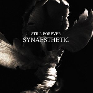 Synaesthetic