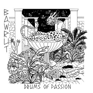 Drums of Passion