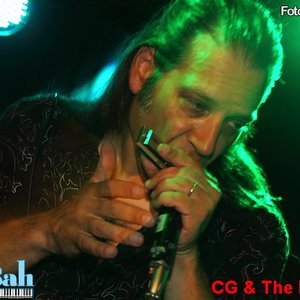 Avatar for Dov Hammer