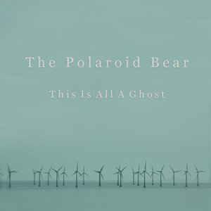 The Polaroid Bear のアバター