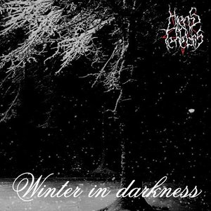 Winter in darkness