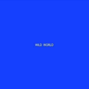 Wild World - Single