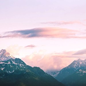 Avatar for Blomkraft & SVLBRD