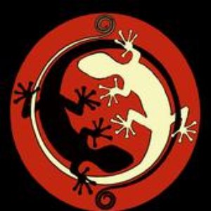 Avatar for Gecko Roman Project