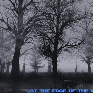 Image for 'Echodrome'