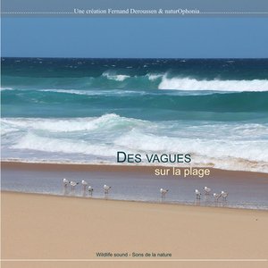 Naturophonia: Des vagues sur la plage