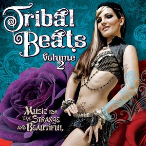 Tribal Beats Volume 2