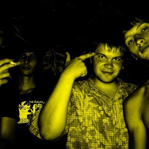 Avatar for destroy the cat