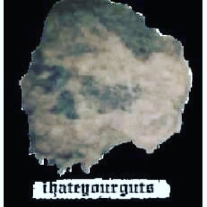 ihateyourguts 的头像