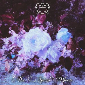 The Spiral Bloom