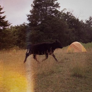 Oregon Man - Single