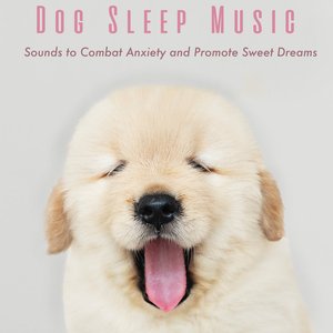 Dog Sleep Music: Sounds to Combat Anxiety and Promote Sweet Dreams