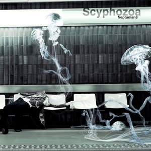 Scyphozoa