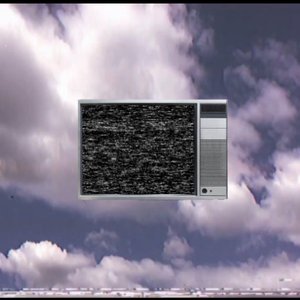Local95 的头像