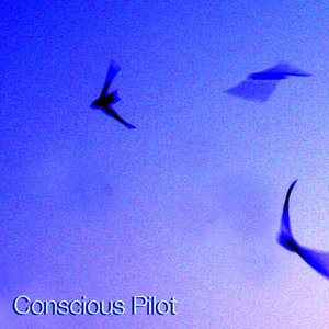 Image for 'Conscious Pilot'