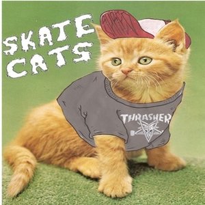Skate Cats 的头像