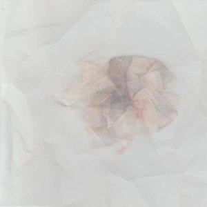 Figments