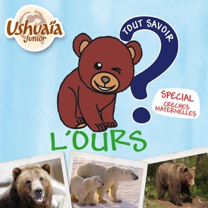 Ushuaia Junior : Tout savoir sur l'ours