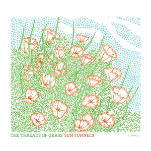 “The Threads of Grass”的封面