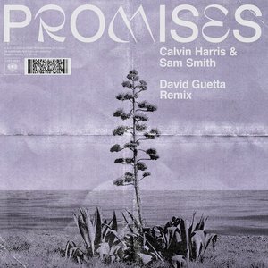 Promises (with Sam Smith) [David Guetta Remix]
