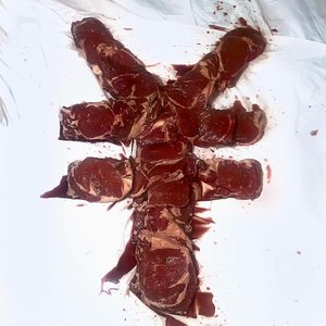 Feed Me Money - Single