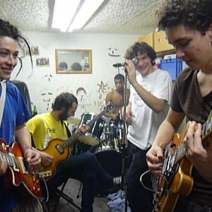 Avatar for The Shed's