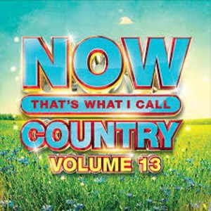 NOW That's What I Call Music Country 13