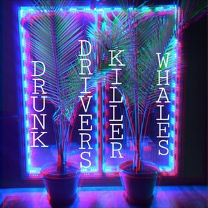Drunk Drivers (Killer Whales)