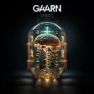 Gaarn 的头像