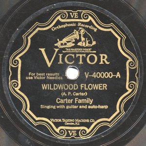 Wildwood Flower / Forsaken Love